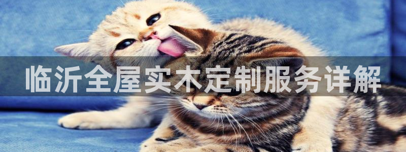 bb电子哪个平台好用点