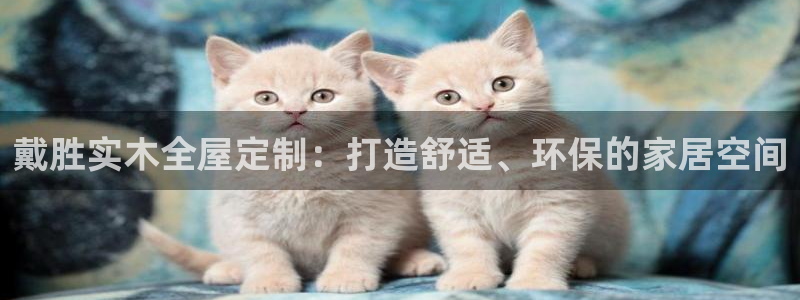 bb电子哪个平台好一点