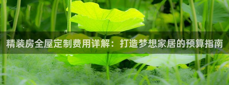 bb电子哪个平台好出款啊