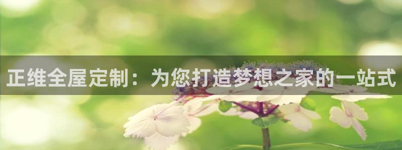 bb电子哪个平台好用一点