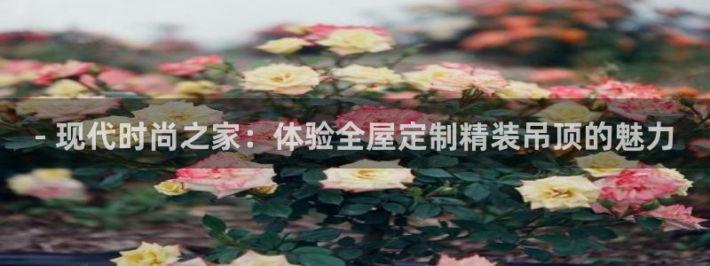 bb电子