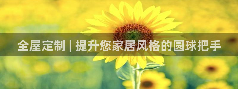 bb电子怎么样