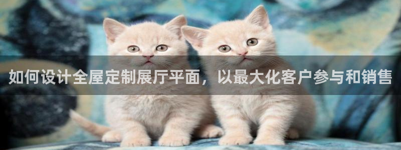 bB电子琴和弦