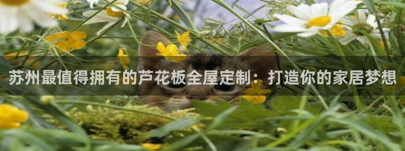 bb电子什么游戏好赢