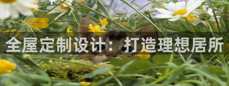 bb电子超级奖池彩金多少钱