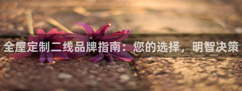 bb电子哪个平台好用点