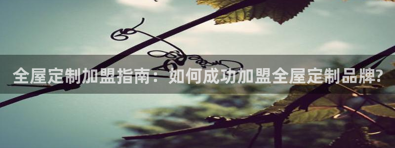 BB电子哪个平台好出款